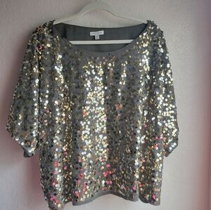 Lane Bryant Silver Sequin Boxy Blouse